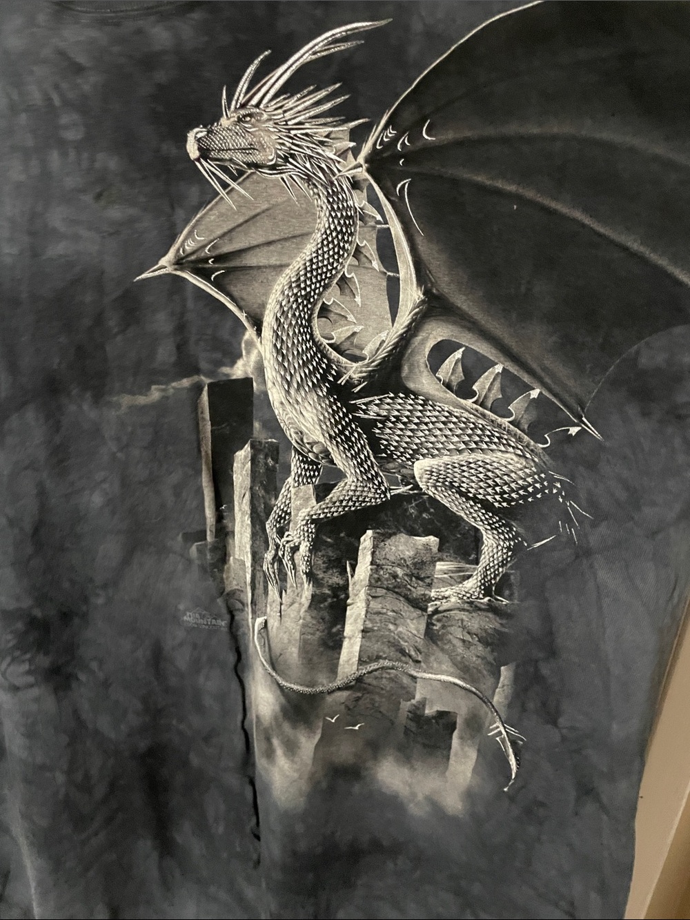 The Mountain Black & Grey  Dragon Graphic Tee Size XXL